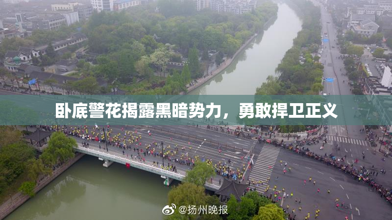 卧底警花揭露黑暗势力，勇敢捍卫正义