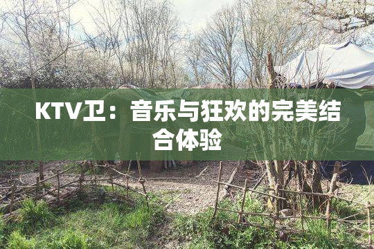 KTV卫：音乐与狂欢的完美结合体验