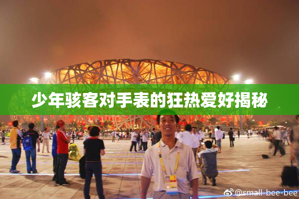 少年骇客对手表的狂热爱好揭秘