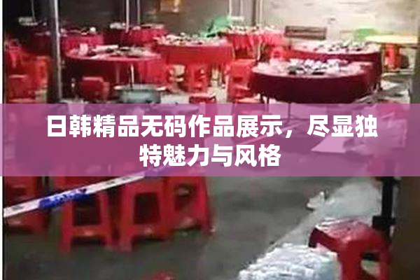 日韩精品无码作品展示，尽显独特魅力与风格