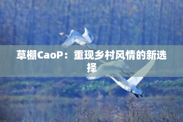 草棚CaoP：重现乡村风情的新选择