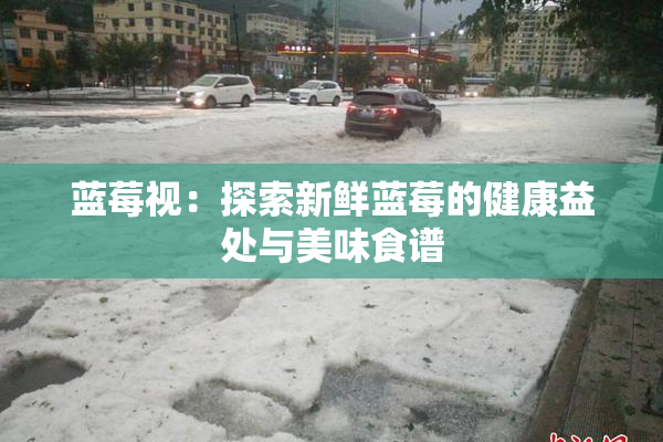 蓝莓视：探索新鲜蓝莓的健康益处与美味食谱