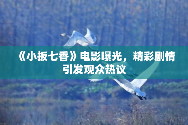 《小扳七香》电影曝光，精彩剧情引发观众热议