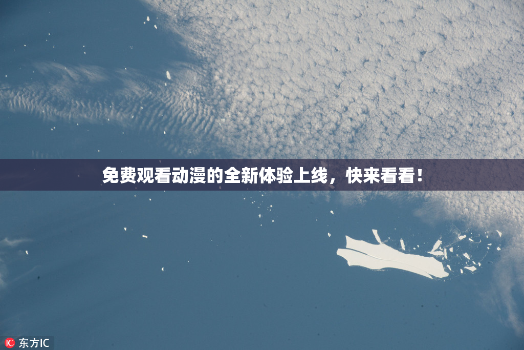 免费观看动漫的全新体验上线，快来看看！