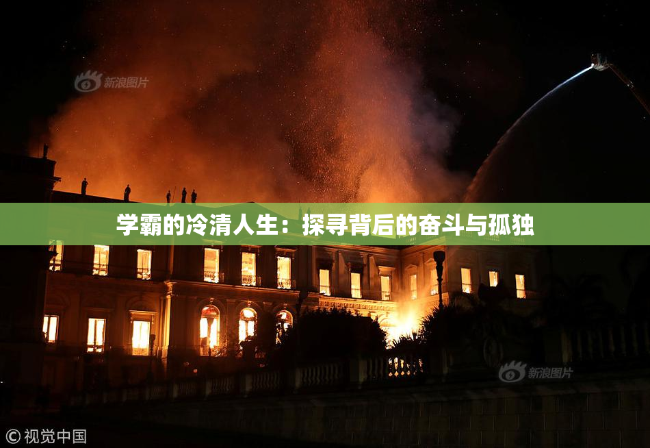 学霸的冷清人生：探寻背后的奋斗与孤独