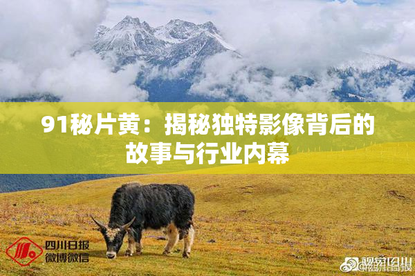 91秘片黄：揭秘独特影像背后的故事与行业内幕