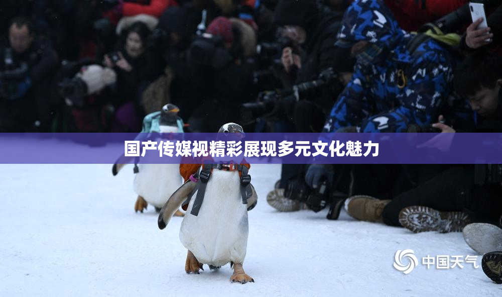 国产传媒视精彩展现多元文化魅力