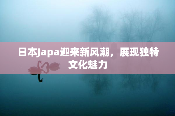 日本Japa迎来新风潮，展现独特文化魅力