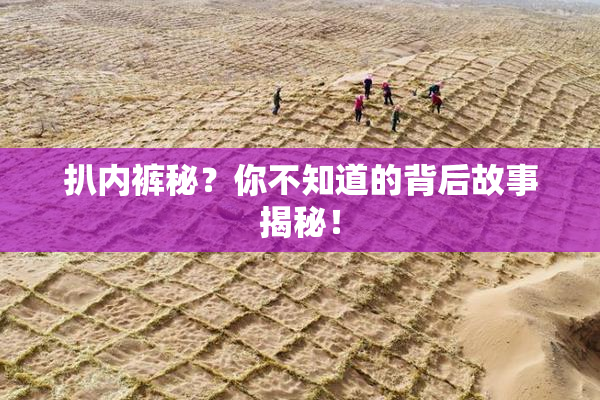 扒内裤秘？你不知道的背后故事揭秘！