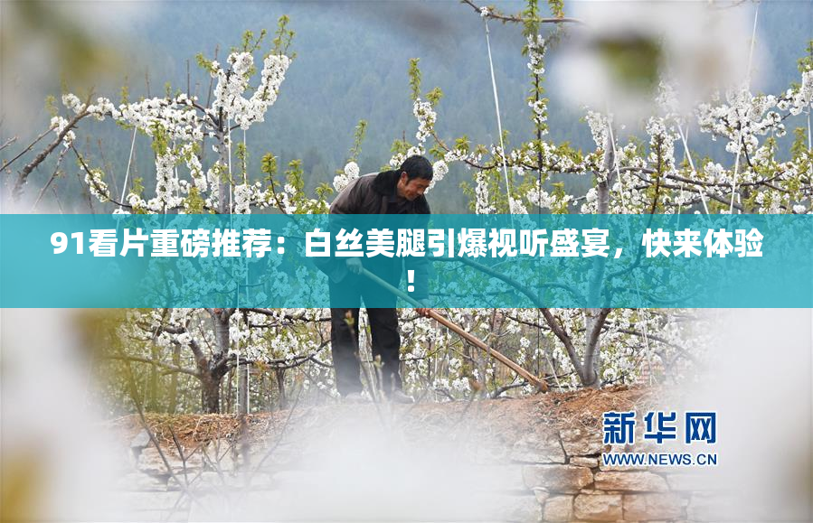 91看片重磅推荐：白丝美腿引爆视听盛宴，快来体验！