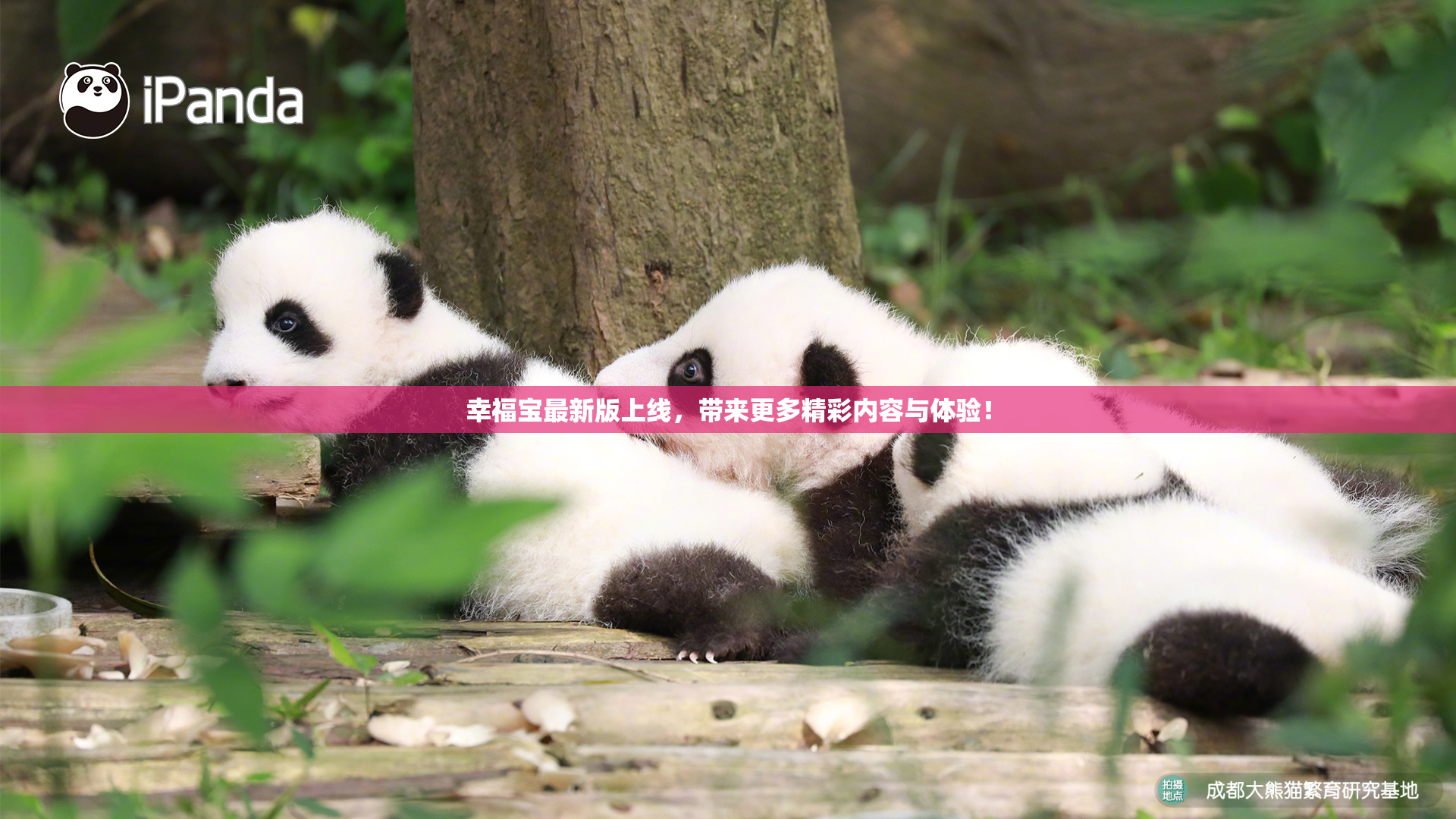 幸福宝最新版上线，带来更多精彩内容与体验！