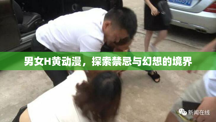 男女H黄动漫，探索禁忌与幻想的境界