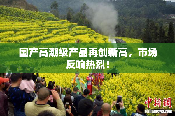 国产高潮级产品再创新高，市场反响热烈！