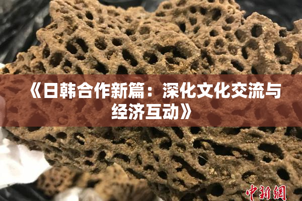 《日韩合作新篇：深化文化交流与经济互动》