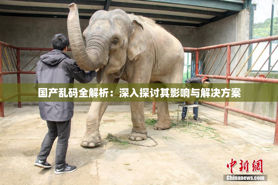 国产乱码全解析：深入探讨其影响与解决方案