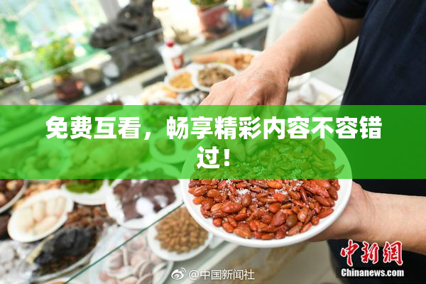 免费互看，畅享精彩内容不容错过！