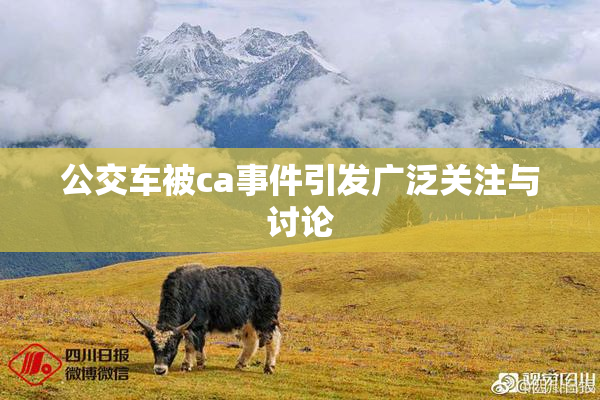 公交车被ca事件引发广泛关注与讨论