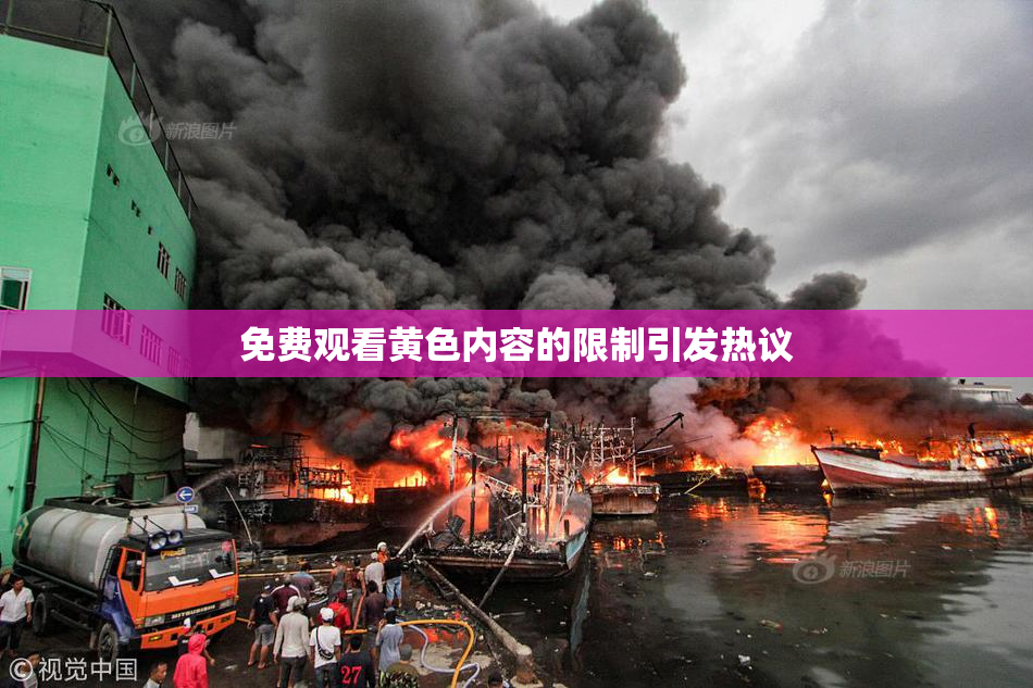 免费观看黄色内容的限制引发热议