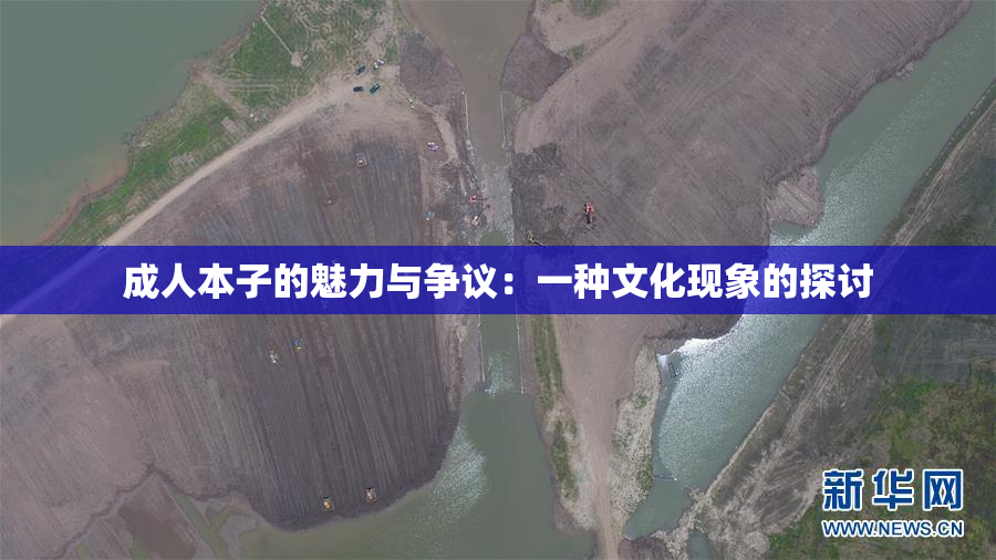 成人本子的魅力与争议：一种文化现象的探讨