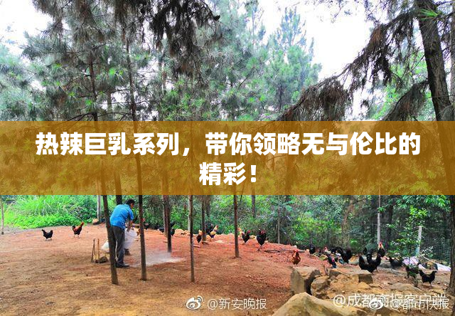 热辣巨乳系列，带你领略无与伦比的精彩！