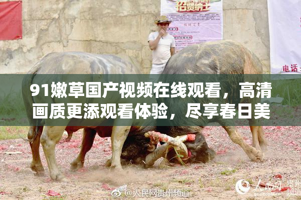 91嫩草国产视频在线观看，高清画质更添观看体验，尽享春日美好时光。