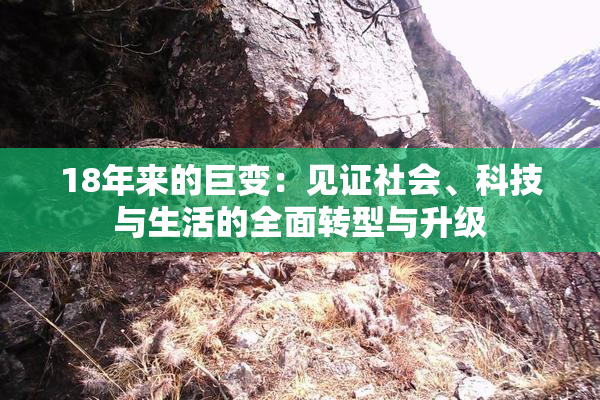 18年来的巨变：见证社会、科技与生活的全面转型与升级