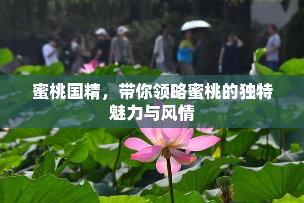 蜜桃国精，带你领略蜜桃的独特魅力与风情