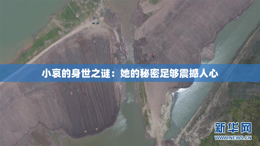 小哀的身世之谜：她的秘密足够震撼人心