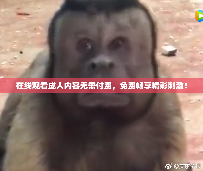 在线观看成人内容无需付费，免费畅享精彩刺激！
