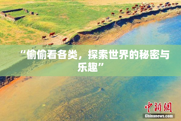 “偷偷看各类，探索世界的秘密与乐趣”