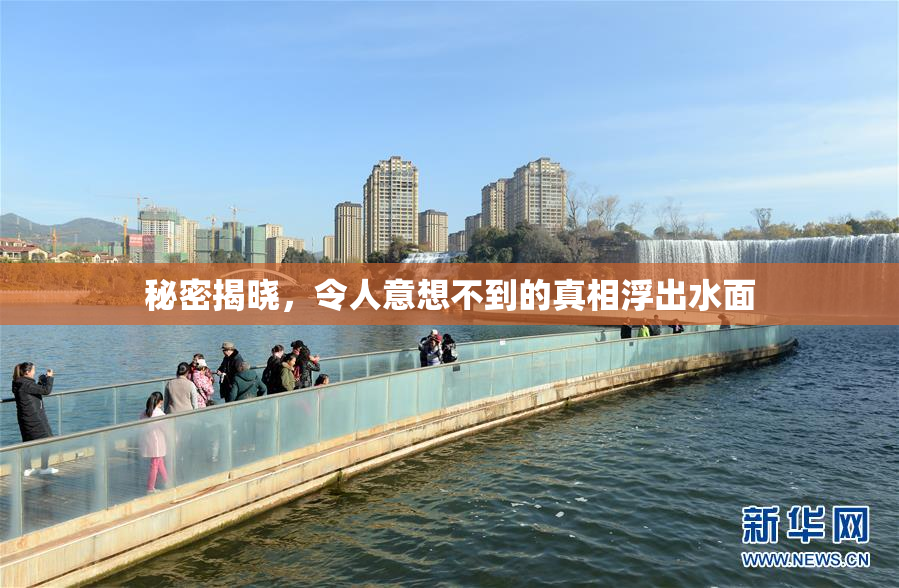 秘密揭晓，令人意想不到的真相浮出水面