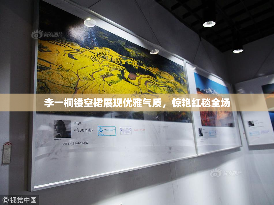 李一桐镂空裙展现优雅气质，惊艳红毯全场
