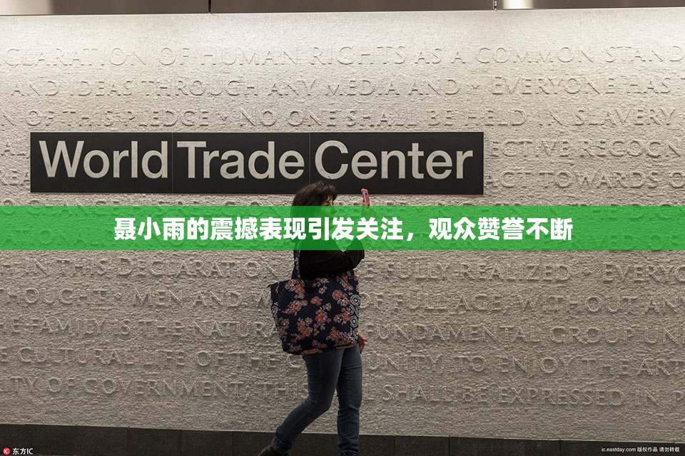 聂小雨的震撼表现引发关注，观众赞誉不断