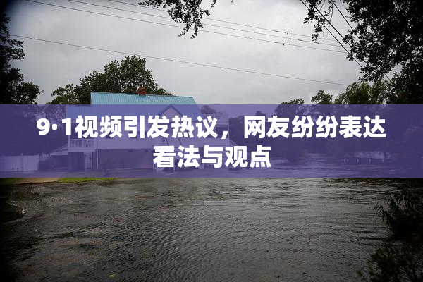9·1视频引发热议，网友纷纷表达看法与观点