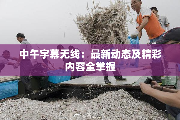 中午字幕无线：最新动态及精彩内容全掌握