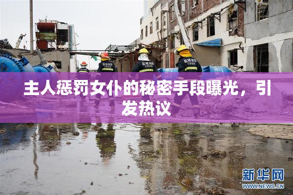 主人惩罚女仆的秘密手段曝光，引发热议