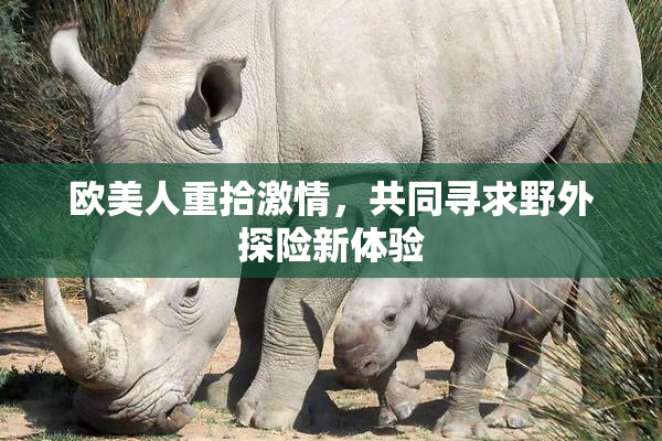 欧美人重拾激情，共同寻求野外探险新体验