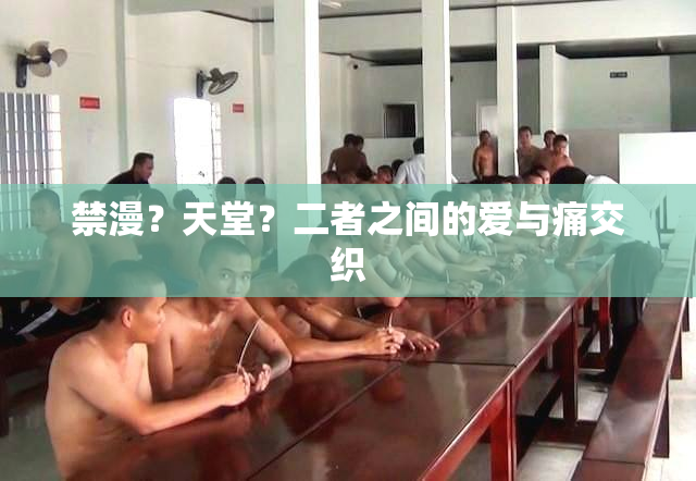 禁漫？天堂？二者之间的爱与痛交织