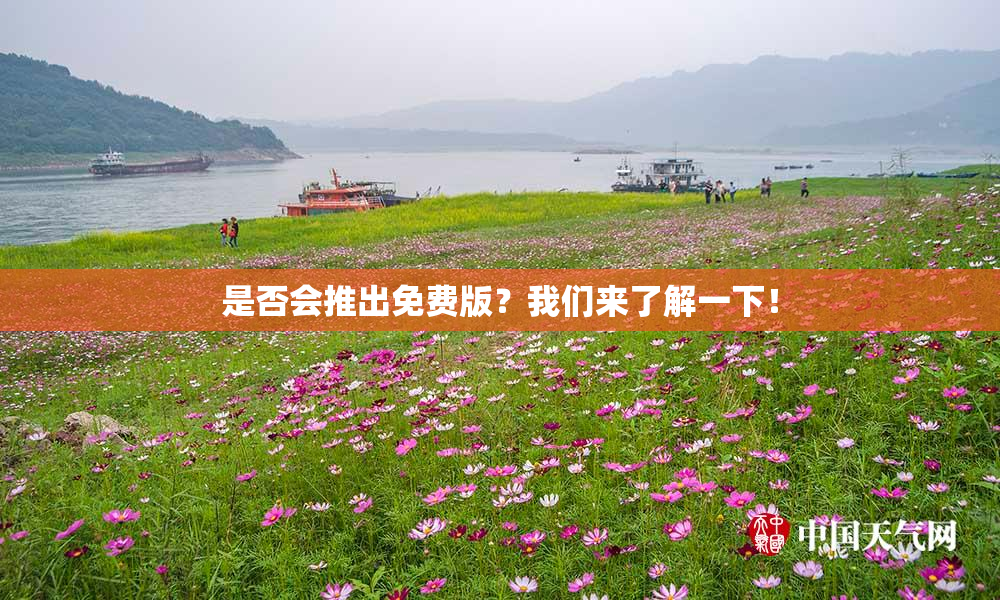 是否会推出免费版？我们来了解一下！