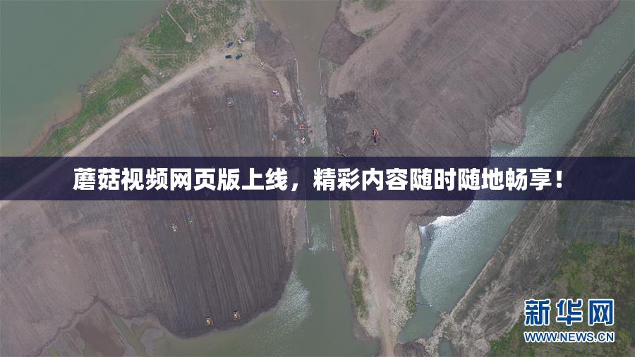蘑菇视频网页版上线，精彩内容随时随地畅享！