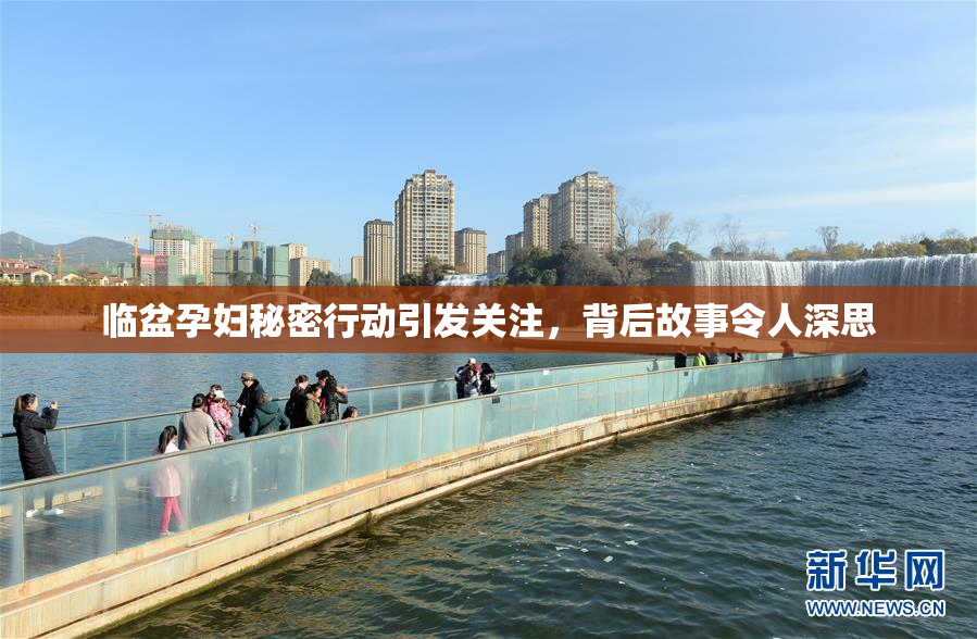 临盆孕妇秘密行动引发关注，背后故事令人深思