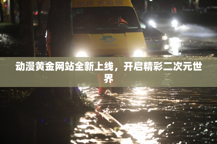 动漫黄金网站全新上线，开启精彩二次元世界