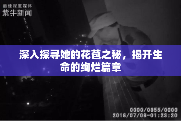 深入探寻她的花苞之秘，揭开生命的绚烂篇章