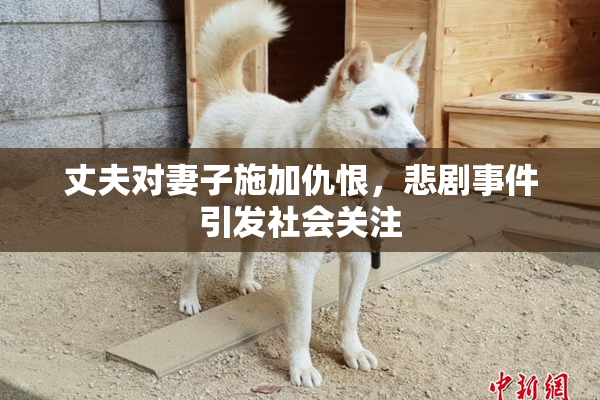 丈夫对妻子施加仇恨，悲剧事件引发社会关注