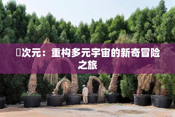 囧次元：重构多元宇宙的新奇冒险之旅