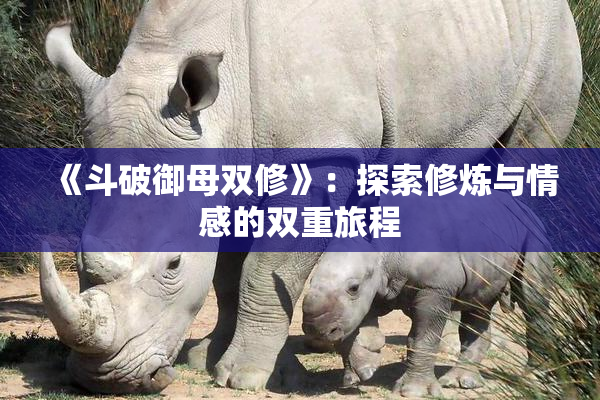 《斗破御母双修》：探索修炼与情感的双重旅程