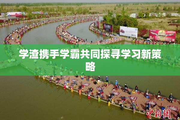 学渣携手学霸共同探寻学习新策略
