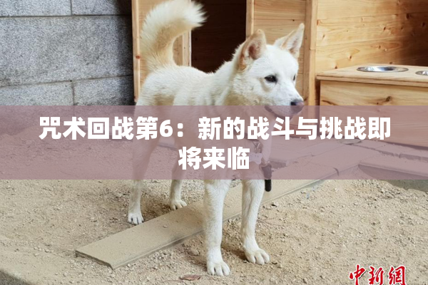 咒术回战第6：新的战斗与挑战即将来临