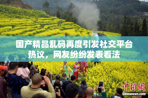 国产精品乱码再度引发社交平台热议，网友纷纷发表看法