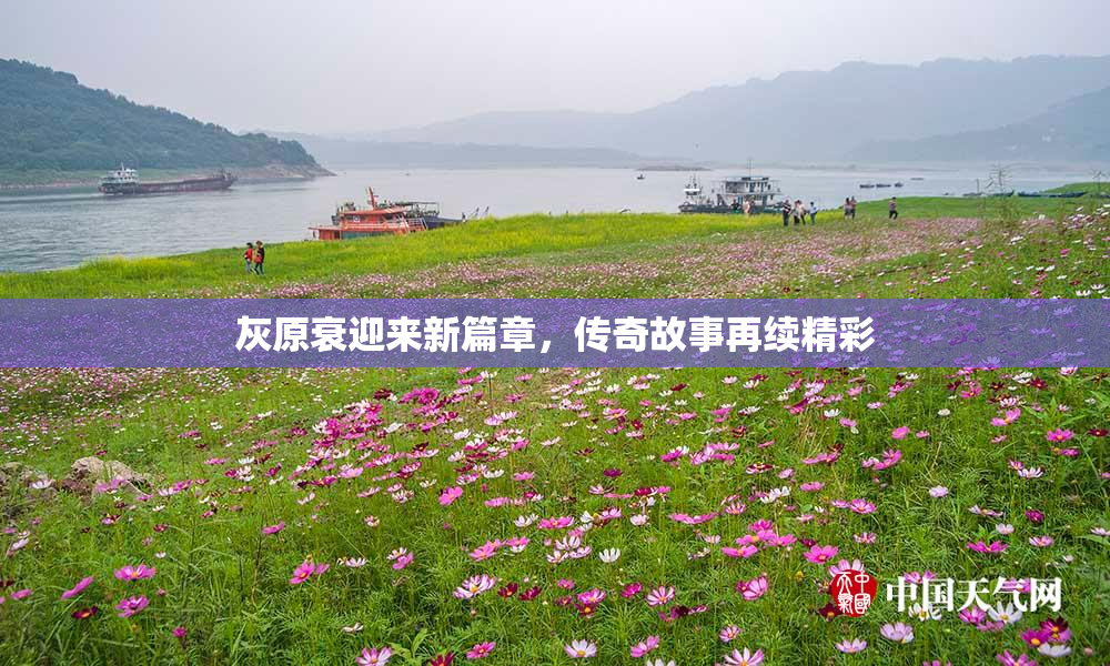 灰原衰迎来新篇章，传奇故事再续精彩